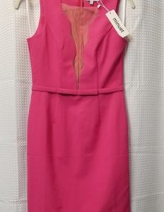 Hot Pink Scalloped Deep V Dress